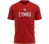Mens Cymru T Shirt Rugby Welsh Supporters Tee Wales Football Top, XXL, Red