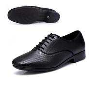 Men's Dance Shoes Men Standard Dance Shoe Ballroom Shoe Professional Genuine Leather Latin Dance Shoes Practice Competition(Perforated Rubber bo,39)