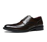 Men's Dress Lace-Up Shoes Oxford Shoes for Men Lace Up Round Burnished Toe Wing Tip Brogue Embossed Leather Block Heel Non Slip Anti-Slip Rubber Sole Party(Darkbrown,6.5 UK)