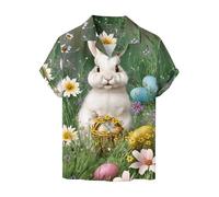 Mens Easter Day Happy Easter Shirts Short Sleeve Bunny Print Blouse Tops Trendy for Easter Mens Novelty T Shirts (L, M)