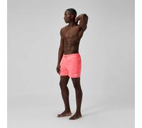 Speedo Essential 16´´ Swimming Shorts Orange 2XL Man
