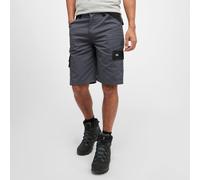 Dickies Men's Everyday Shorts, Grey 38R