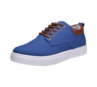 Men's Fashion Canvas Low Top Slip on Sneakers Mesh Comfortable Breathable Casual Shoes Thick Sole Plimsolls Sneakers Lace-Up Dress Shoes Blue