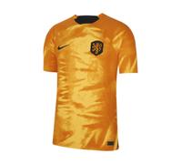 Men's Football Shirt 2022-2023 Orange Holland Home Soccer National Team T-Shirt