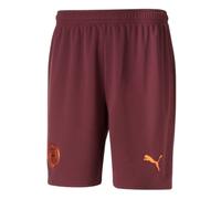 Men's Football Shorts Maroon 2023-2024 Team Man City Away Training Sportswear