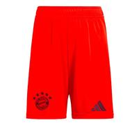FC Bayern 24/25 Home Shorts