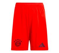 FC Bayern 24/25 Home Shorts
