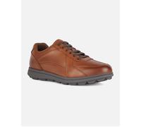 Geox Shoes (Trainers) U SPHERICA EC12 in Brown 10