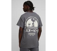 Mens Grey Oversized Peanuts Snoopy License Printed T-Shirt, Grey XS