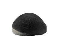 Mens Hair Toupee for Men Thin Skin PU Human Hair Prosthesis and Units Replacement System base 10×8 Daily wigs(Black)