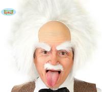 Mens Halloween Einstein Mad Scientist Fancy Dress Wig Beetlejuice type Wig fg