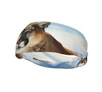 Men's Headbands Sport Sweatbands Moisture Wicking Wide Sweatband Stretchy Performance Headband Animal Mountain Lion Wrist Bands Unisex Hairband Running Head Band for Men