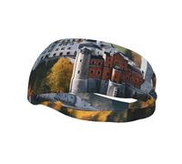 Men's Headbands Sport Sweatbands Moisture Wicking Wide Sweatband Stretchy Performance Headband Germany Neuschwanstein Castle Wrist Bands Unisex Hairband Running Head Band for Men