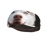 Men's Headbands Sport Sweatbands Moisture Wicking Wide Sweatband Stretchy Performance Headband Husky Piquant Dog Wrist Bands Unisex Hairband Running Head Band for Men