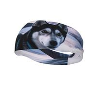 Men's Headbands Sport Sweatbands Moisture Wicking Wide Sweatband Stretchy Performance Headband Husky Dog on a Frozen Lake Wrist Bands Unisex Hairband Running Head Band for Men