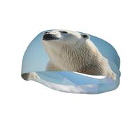Men's Headbands Sport Sweatbands Moisture Wicking Wide Sweatband Stretchy Performance Headband Polar Bear Penguin Wrist Bands Unisex Hairband Running Head Band for Men
