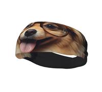 Men's Headbands Sport Sweatbands Moisture Wicking Wide Sweatband Stretchy Performance Headband Pomeranian Dog Wearing Glasses Wrist Bands Unisex Hairband Running Head Band for Men