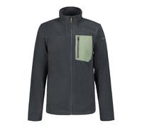 Men's Icepeak Maxwell Full-Zip Fleece in Grey
