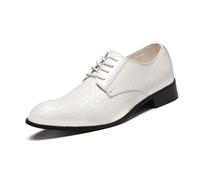Men's Lace-Up Casual Leather Shoes Pointed Toe Oxford Shoes Formal Business Derby Shoes,White,9 UK