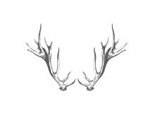 Men's Large Deer Antlers Tattoo Sticker, Sweat Resistant, Waterproof, Long-lasting, Waist And Abdomen Temporary Sticker(01/2pcs)