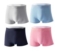 Men's Large Size Ice Silk Breathable Briefs, Ice Silk Boxer Briefs for Men, Fashion Plus Size Soft Comfy (4pcs-E,5XL)