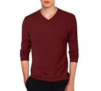 Men's Long Sleeve V Neck T Shirt Large Size Casual Solid Colour Chic Slim Fit Comfortable Fit Simple Everyday Lightweight Soft Regular Fit Top