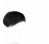 Men's Natural Black Short Wigs Straight Wig Hair Clip-on Toupee Hair Men The Top of The Head Wigs Replacement Wigs-BF23-2