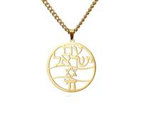 men's necklace Star of David and Chai Symbol Necklaces, Stainless Steel, Hexagram Judaica, Hebrew Blessing, Jewish Amulet Jewelry