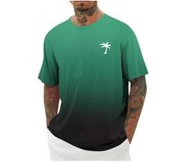 Mens Nightshirt, Mens T Shirts Men's Fashion Casual T-Shirts Breathable Lightweight Tee Top Hawaiian Print Summer Camping Hiking Holidays Everyday Wear