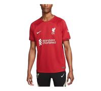 Men's Nike 2022-23 Season Liverpool Fan Edition Logo Pattern Printing Short Sleeve Soccer/Football Jersey Deep Red DM1843-609 L