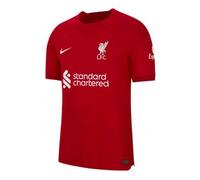 Men's Nike Alphabet Printing Short Sleeve Soccer/Football Jersey 2022/23 Season Liverpool Player Edition Deep Red DJ7647-609 XXL