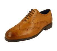 Mens Padders Lace Up Brogue Shoes 'Oxford'