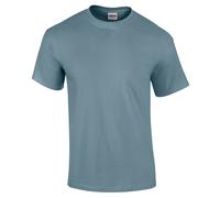 Men's Plain t-shirt 2000 - Gildan Ultra Cotton adult blank tee (