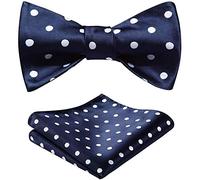 Men's Polka Dot Bow Tie Floral Jacquard Self Bowties Hanky Set, Blue / White, Medium