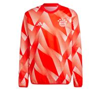 Men's Pre Match Top Red Bayern Munich 2023-2024 Soccer Jersey Warm Up T-Shirt