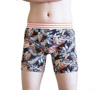 Men's Printed Trunks Underwear - Breathable Mesh Long Leg Shorts with Stretch Polyester-Spandex Blend, Comfort Fit for Daily Wear & Active Lifestyle(L E)