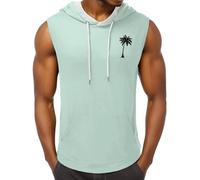 Men's Quick Dry Sport Tank Top for Bodybuilding Gym Athletic Jogging Running Fitness Training Workout Sleeveless Shirts Vest Activewear Tee Tshirt Mens Gym Clothes (Light Green, L)