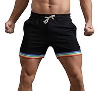 Men's Rainbow Shorts and Bermuda, LGBT Men's Swim Shorts, LGBTQ Boardshorts, Running Shorts Large Elastic Size, Colorful Rainbow Sports Shorts, Bermuda Gay Pride Month | Summer Beach Daily
