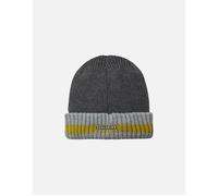 SEALSKINZ | Holkham | Unisex Waterproof Cold Weather Striped Roll Cuff Beanie Hat | for Everyday & Outdoor Activities | Warm Fleece Lining | Three-Layer Insulation Technology Dark Grey