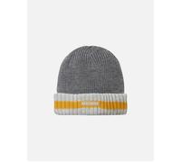 SEALSKINZ | Holkham | Unisex Waterproof Cold Weather Striped Roll Cuff Beanie Hat | for Everyday & Outdoor Activities | Warm Fleece Lining | Three-Layer Insulation Technology Light Grey