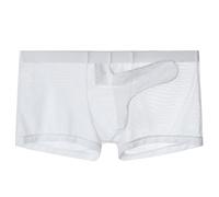 Men's See Through Mesh Elephant Nose Boxer Trunks Sheer Seperate Underwear Boxer Briefs Ultra Thin Lingerie Short (White,M)