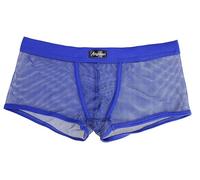 Mens Sexy Briefs See Through Sheer Boxer Mesh Underwear Shorts Trunks Mens Fishnet Boxers Breathable Hollow Out Underpants Lounge Pajama Trunks Soft Transparent Boxer Shorts Antibacterial Panties
