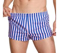 Men's Sexy Erotic Thong Transparent Thong Striped Shorts Comfortable And Casual Soft And Breathable Pajamas Briefs For Home