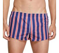 Men's Sexy Erotic Thong Transparent Thong Striped Shorts Comfortable And Casual Soft And Breathable Pajamas Briefs For Home