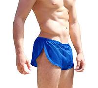 Mens Sexy Mesh Split Sides Lounge Shorts 1 Inch Inseam Low Rise Blue M