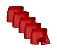 Men's Sexy Oil Shiny Sheer Boxer Briefs See Through Glossy Boyshort Underwear Stretch Silky Lingerie Trunks (Red 5PC,L)