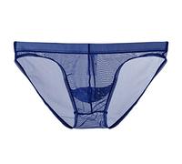 Men's Sheer Mesh Briefs, Sexy Low Rise Transparent Underwear, Lightweight Breathable Stretch Bikini Panties, Soft See-Through Thongs, Comfortable T-Back Lingerie, Erotic Men’s Underpants