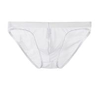 Men's Sheer Mesh Briefs, Sexy Low Rise Transparent Underwear, Lightweight Breathable Stretch Bikini Panties, Soft See-Through Thongs, Comfortable T-Back Lingerie, Erotic Men’s Underpants
