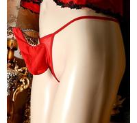 Men's Sheer Nylon Briefs with Open/Close Front Pouch, See-Through Low Rise Underpants for Sissy Crossdresser(JJ closed Red)