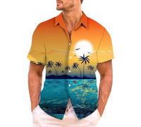 Mens Shirts Casual Festival Shirts, Romantic Summer Feel Individualistic Simple and Versatile Design Retro Color-Blocked Print Vacation Soft and Chic Against the Skin